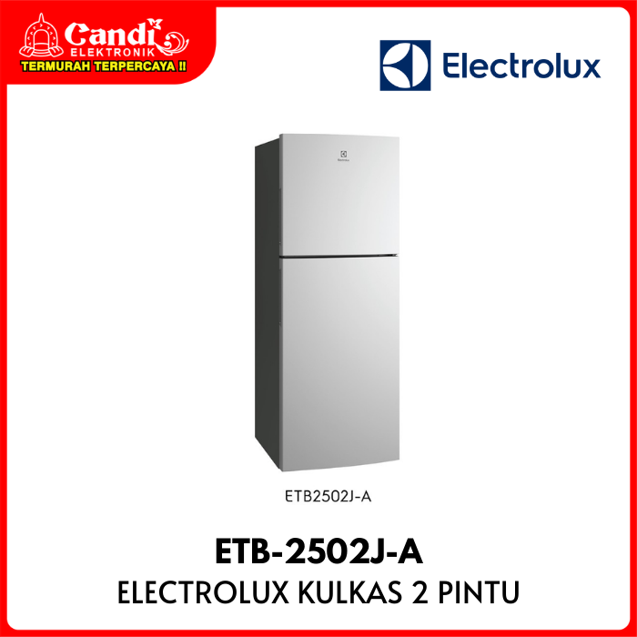 Electrolux Refrigerator 2 Door